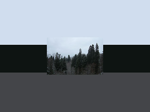 флаг-декабрь