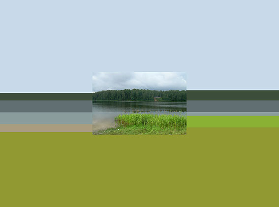 Флаг: август