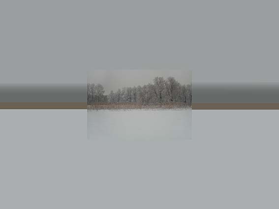 флаг-январь