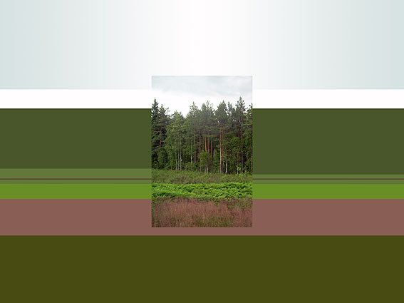 июль 2009 [3]