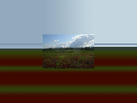июль 2009 [4]