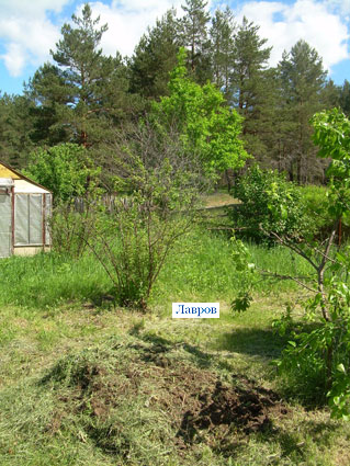 4 июня 2011