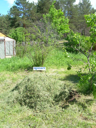 4 июня 2011