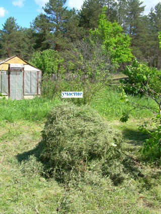 4 июня 2011