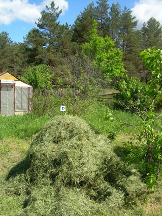 4 июня 2011