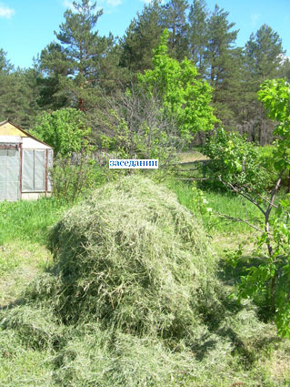 4 июня 2011