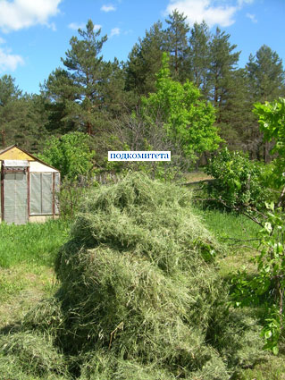 4 июня 2011