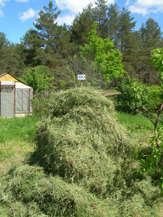 4 июня 2011