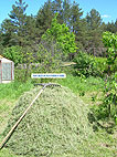 4 июня 2011