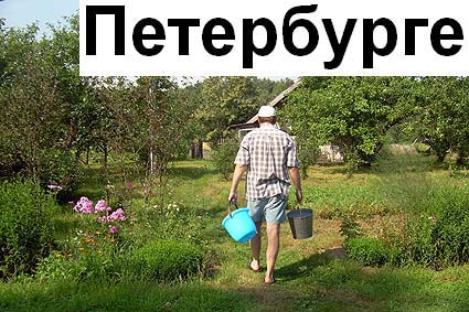 28 июля 2011