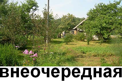 28 июля 2011