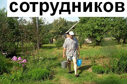 28 июля 2011
