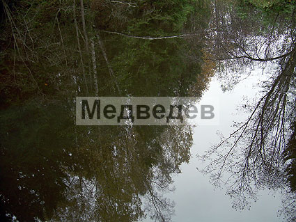 8 октября 2011