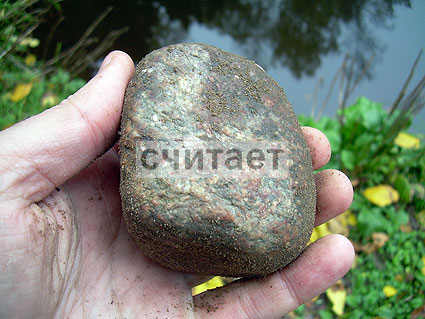 8 октября 2011