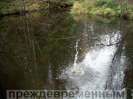 8 октября 2011