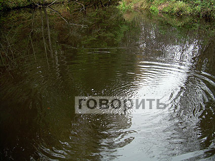 8 октября 2011