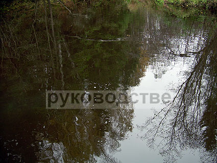 8 октября 2011