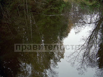 8 октября 2011