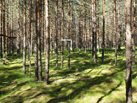 окно на даче 2012